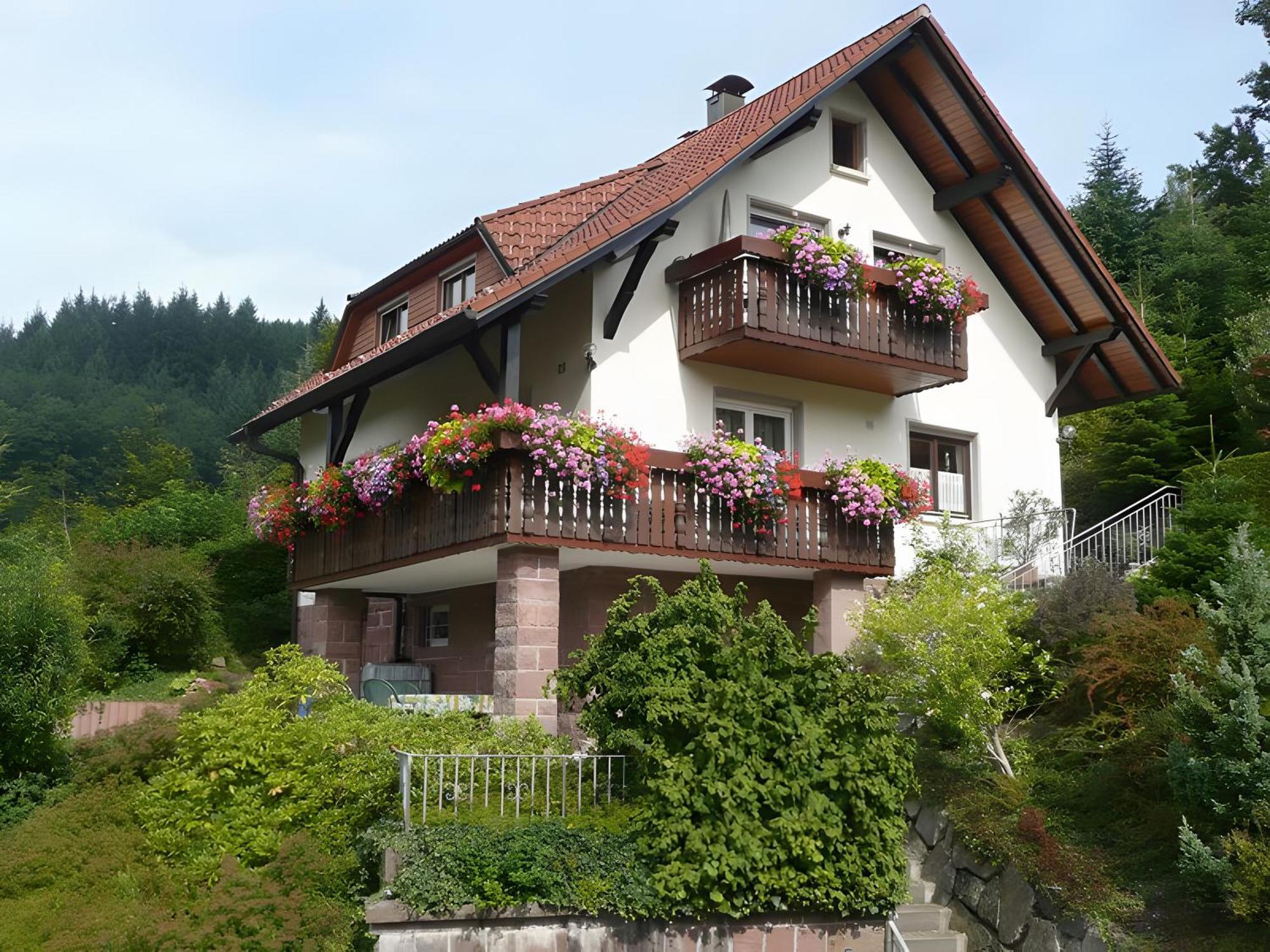 Haus Herbert Panter Bad Peterstal-Griesbach Bagian luar foto