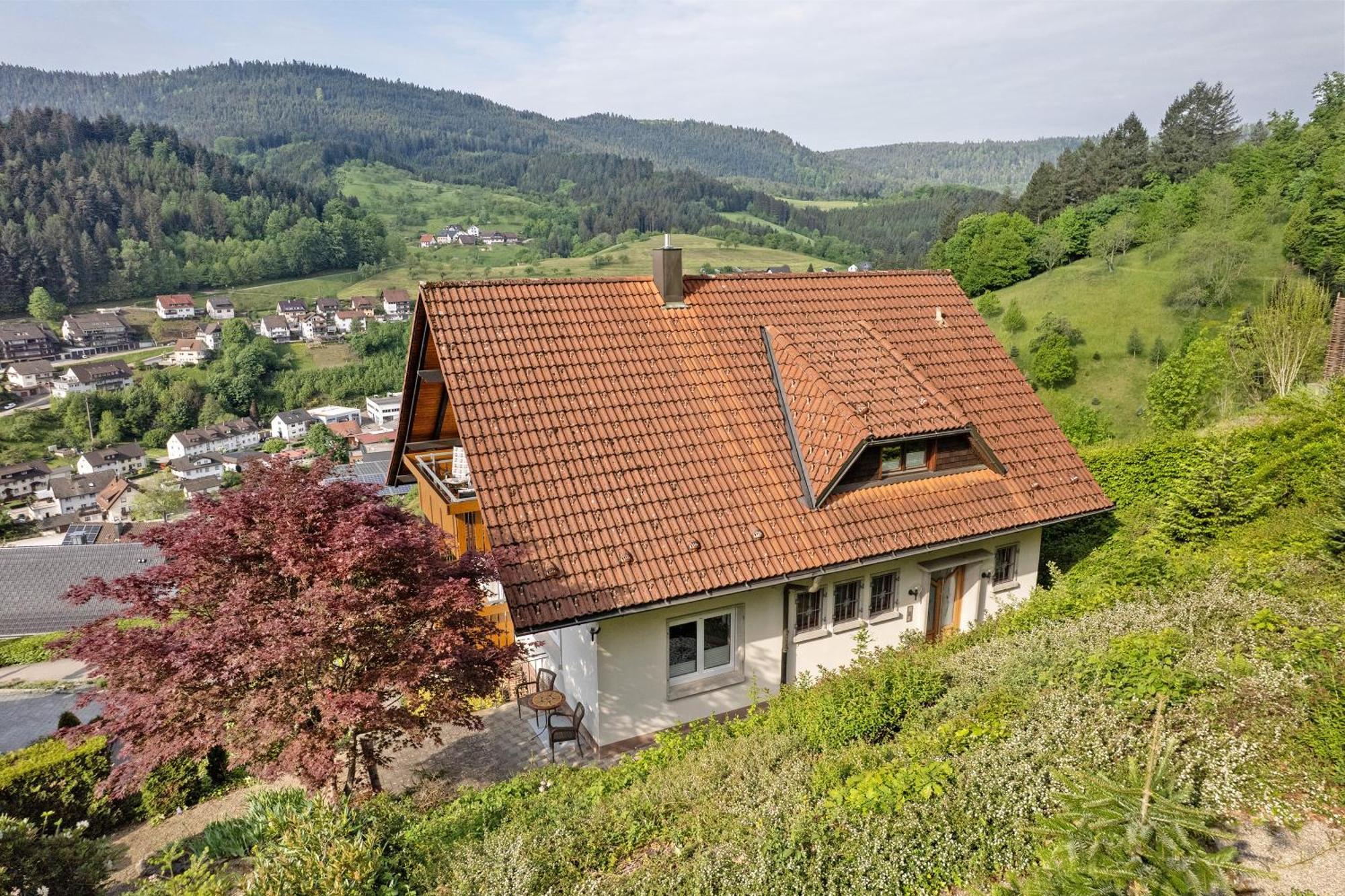 Haus Herbert Panter Bad Peterstal-Griesbach Bagian luar foto