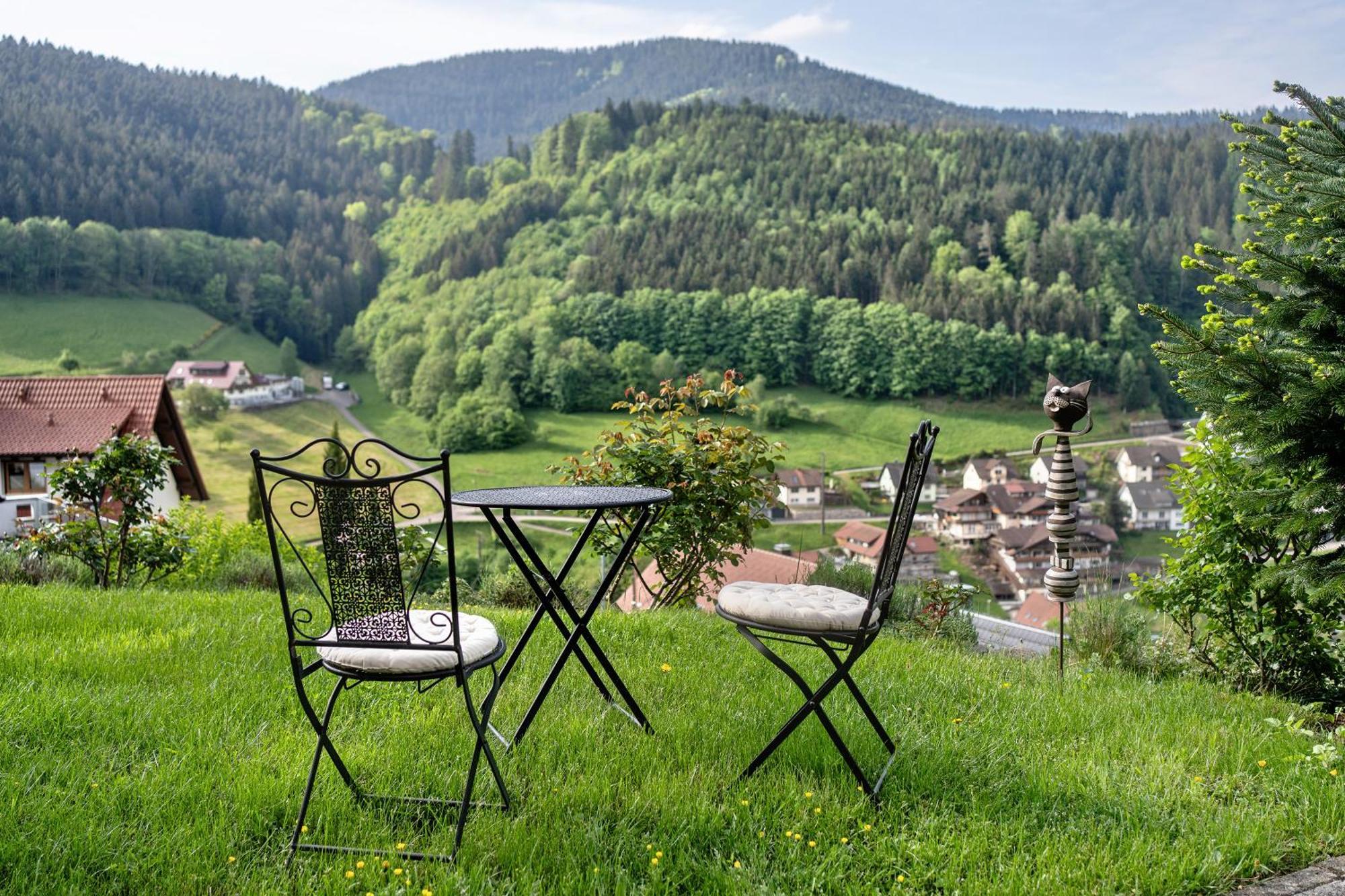 Haus Herbert Panter Bad Peterstal-Griesbach Bagian luar foto